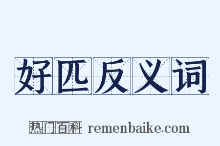 好匹反义词是什么意思的图片